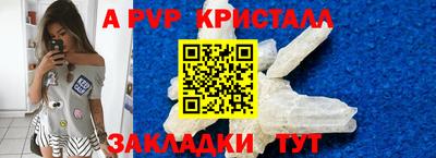 PSILOCYBIN Моздок