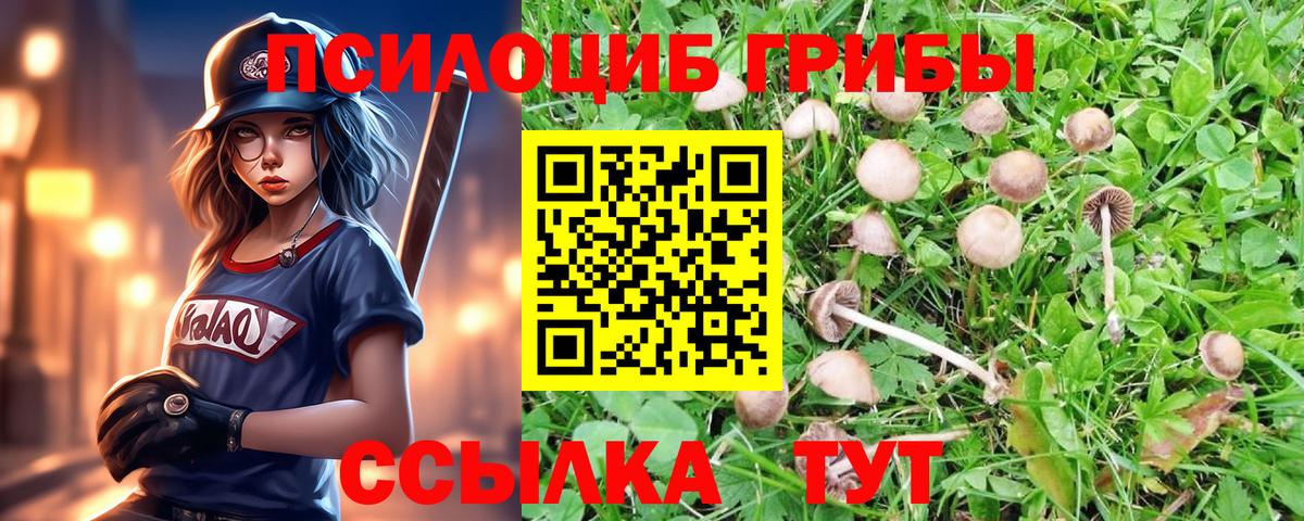 Псилоцибиновые грибы Psilocybine cubensis  цены наркотик  Энгельс  Галлюциногенные грибы MAGIC MUSHROOMS  Вход с VPN 